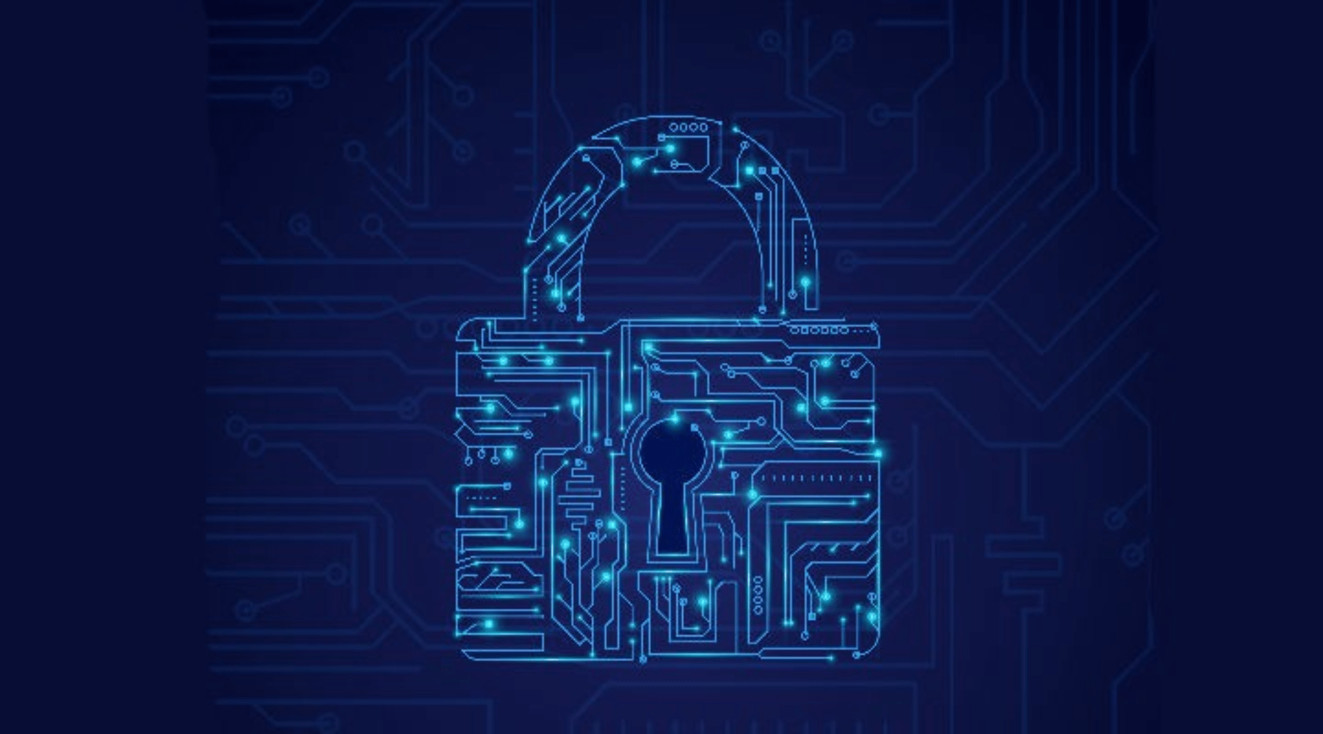 LGPD: a lei que protege a privacidade e os dados dos cidadãos